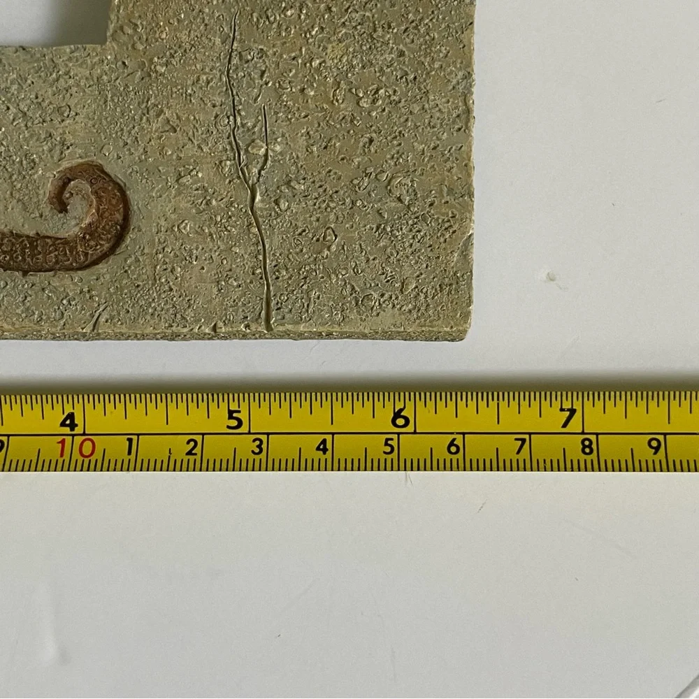 Seahorse Sand Dollar Frame 3 X 5 Photo Beach Nautical Ocean Ceramic Resin EUC